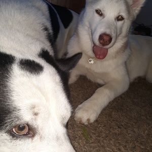 Meet your Posher, Jeff